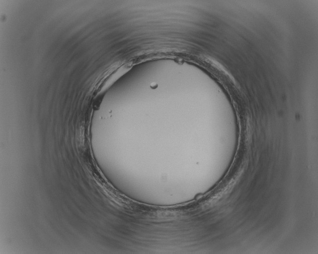 X0000078260777200612011653