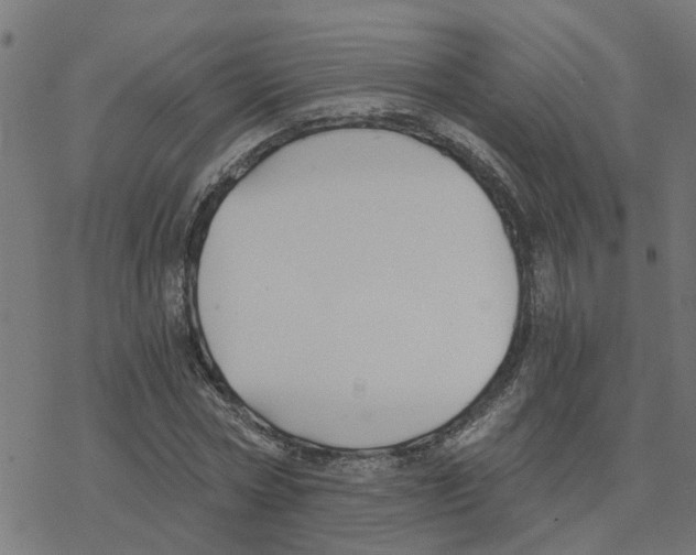 X0000078260778200612011653