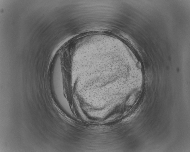 X0000078260779200612011653