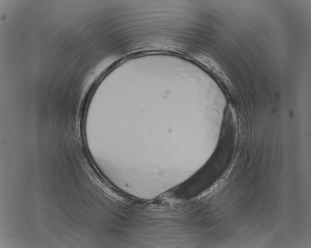 X0000078260780200612011653