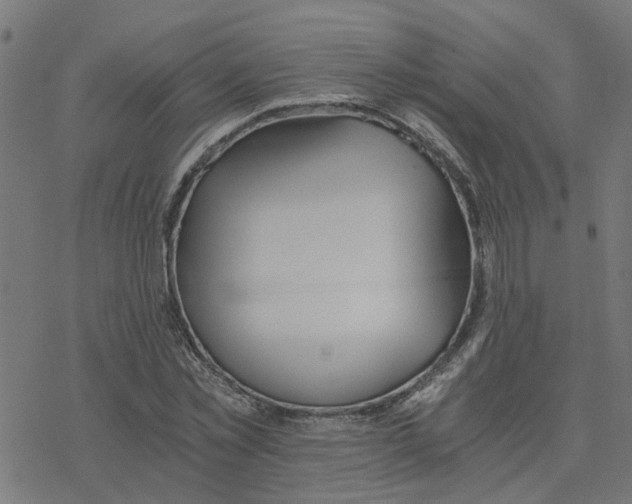 X0000078260781200612011653