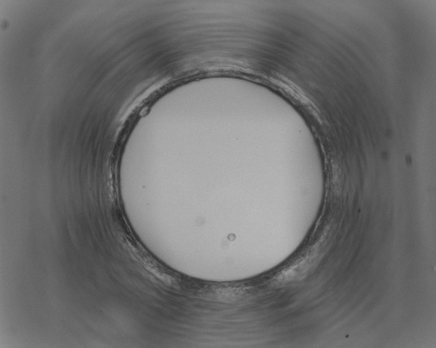 X0000078260782200612011653