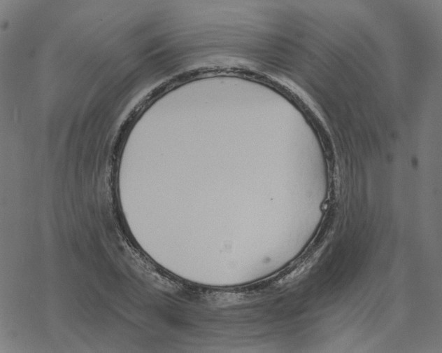 X0000078260783200612011653