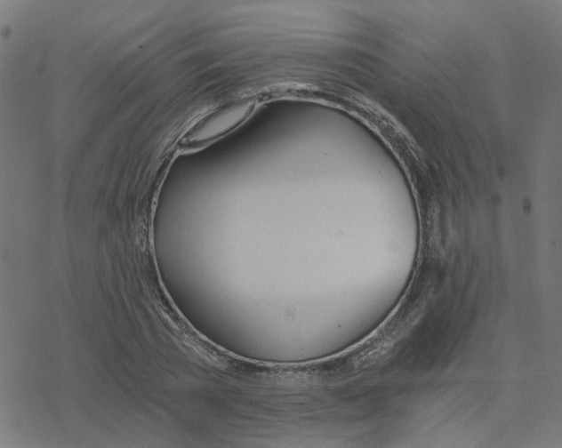 X0000078260785200612011653