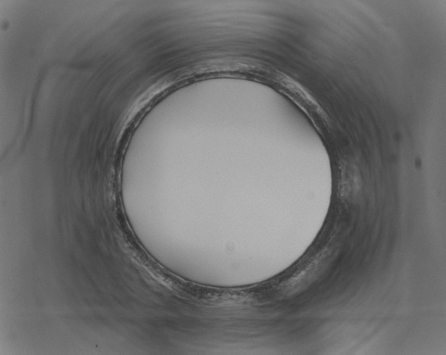 X0000078260786200612011653