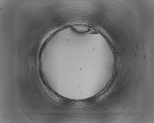 X0000078260787200612011653