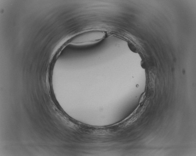 X0000078260788200612011653