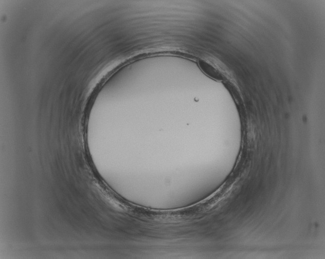 X0000078260789200612011653