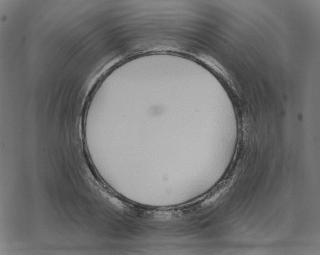 X0000078260790200612011653