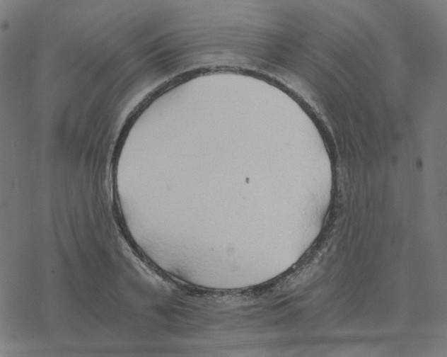 X0000078260791200612011653