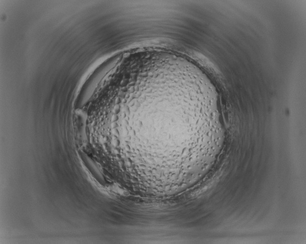 X0000078260792200612011653