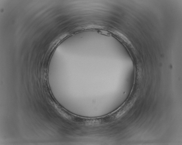 X0000078260793200612011653