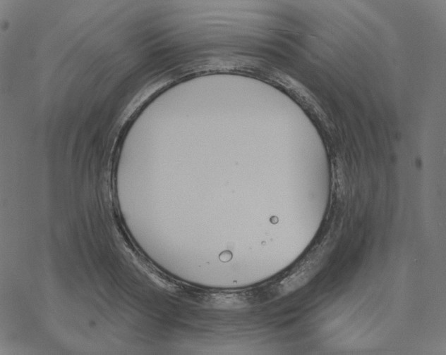 X0000078260794200612011653