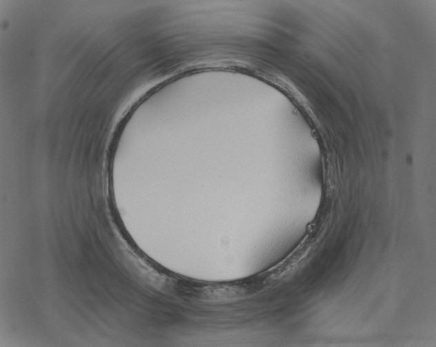 X0000078260795200612011653