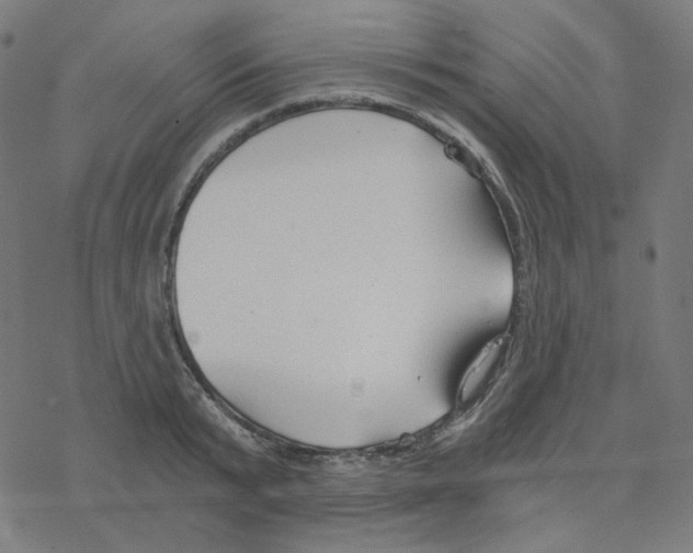 X0000078260799200612011653