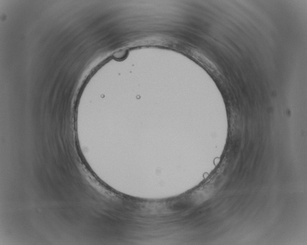 X0000078260800200612011653