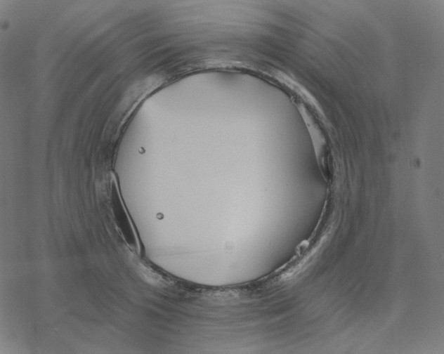 X0000078260801200612011653