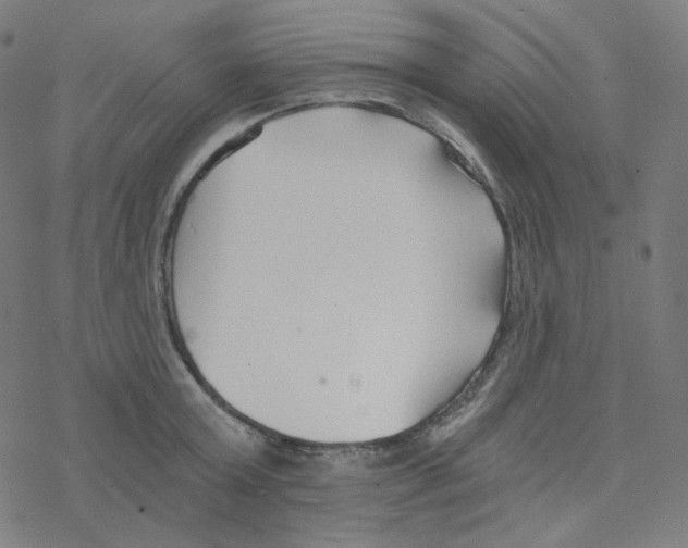 X0000078260803200612011653