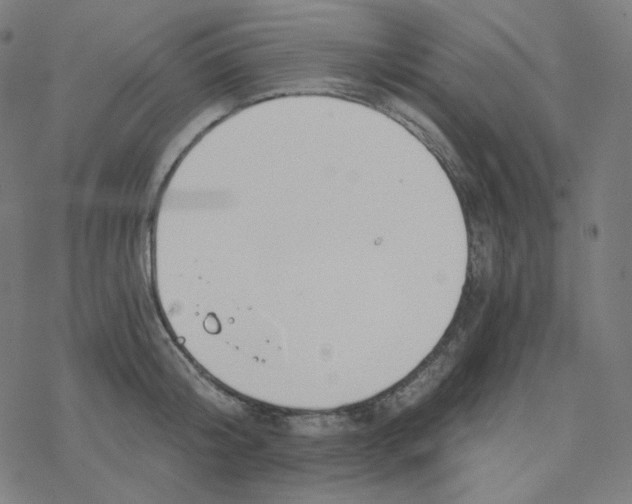 X0000078260804200612011653