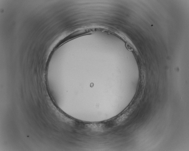 X0000078260805200612011653