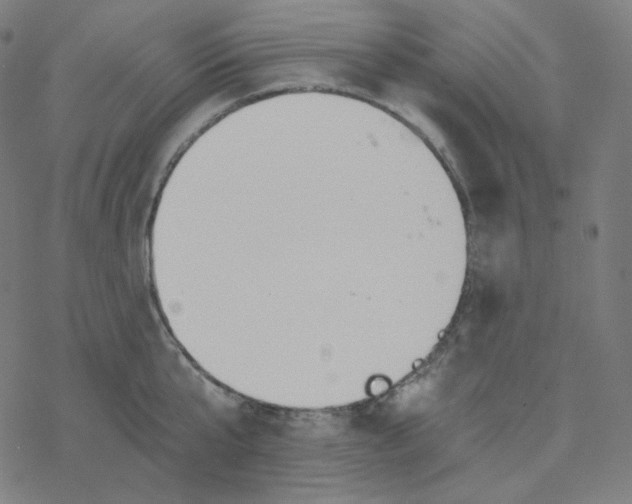 X0000078260807200612011653