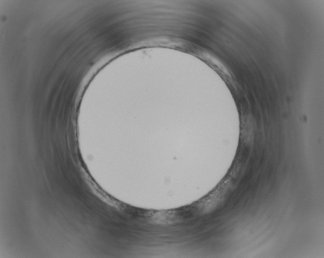 X0000078260808200612011653