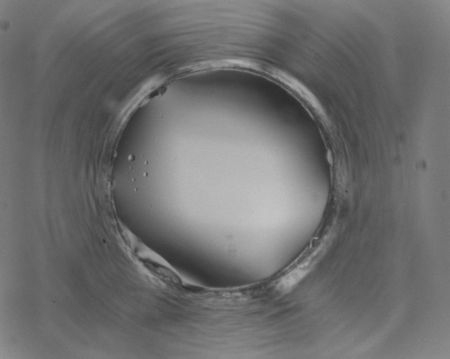 X0000078260809200612011653