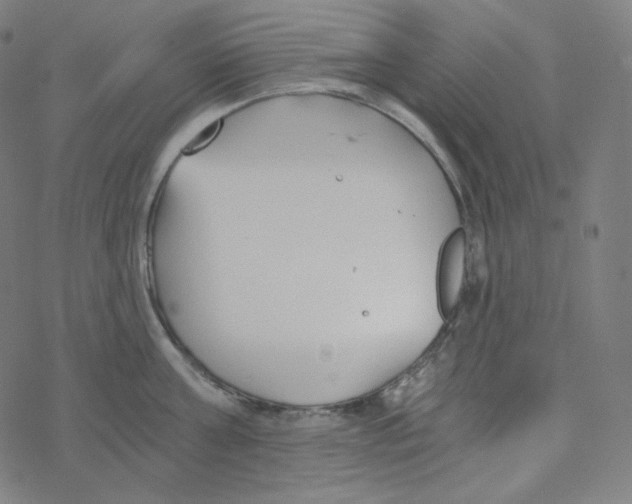 X0000078260811200612011653