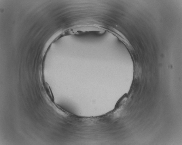 X0000078260812200612011653