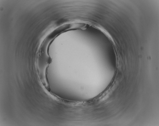 X0000078260813200612011653