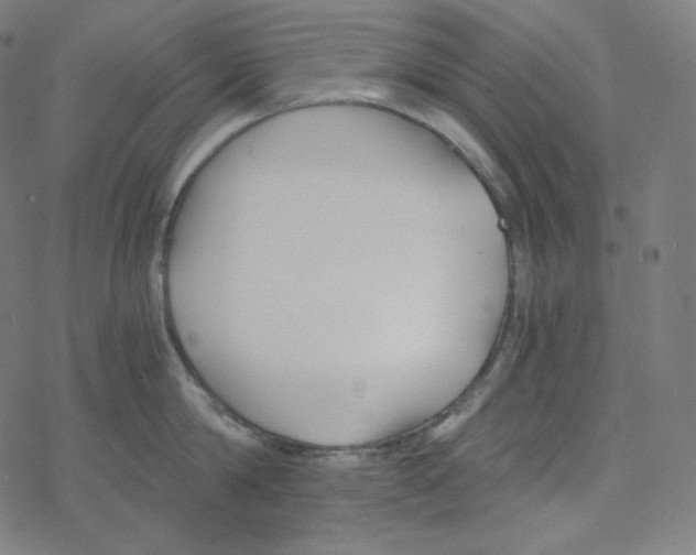 X0000078260814200612011653