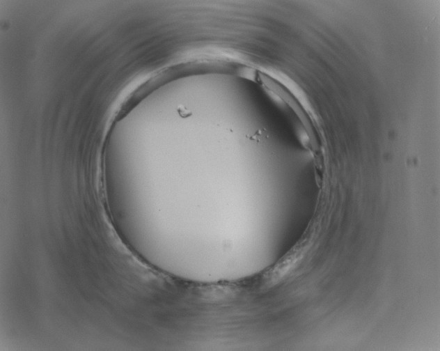 X0000078260815200612011653