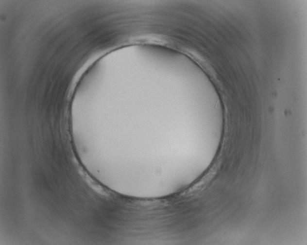 X0000078260816200612011653