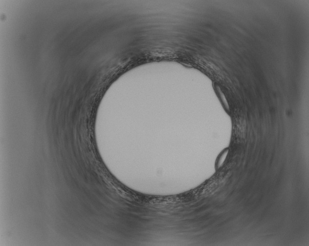 X0000078260817200612011652