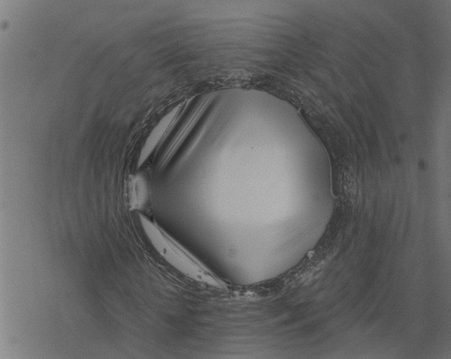 X0000078260818200612011652