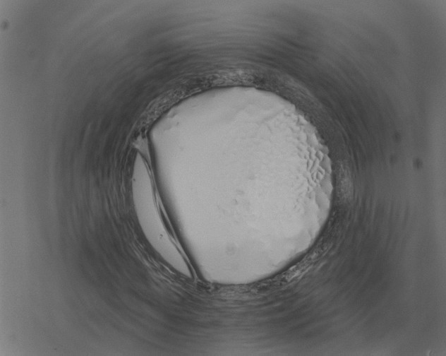 X0000078260819200612011652