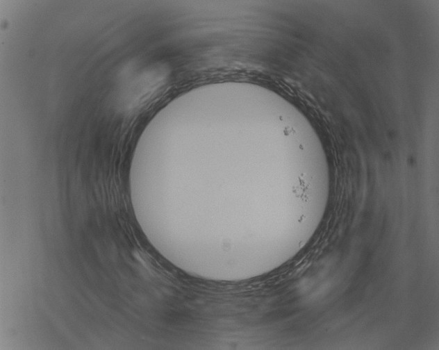 X0000078260820200612011652