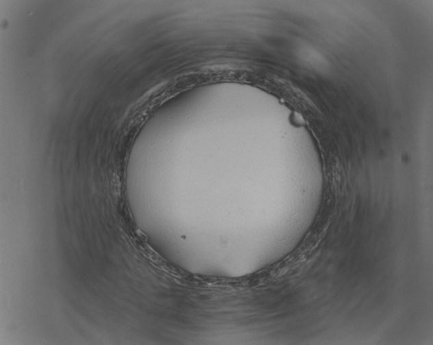 X0000078260821200612011652