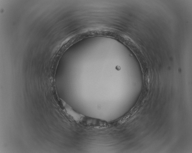 X0000078260822200612011652