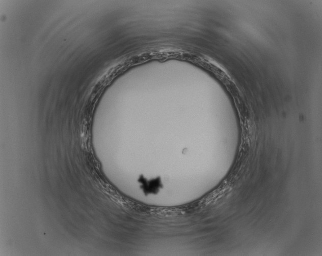 X0000078260823200612011652