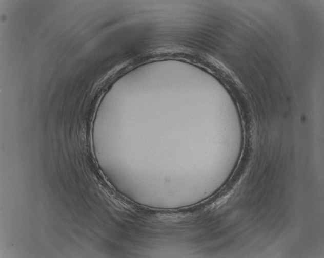 X0000078260825200612011652