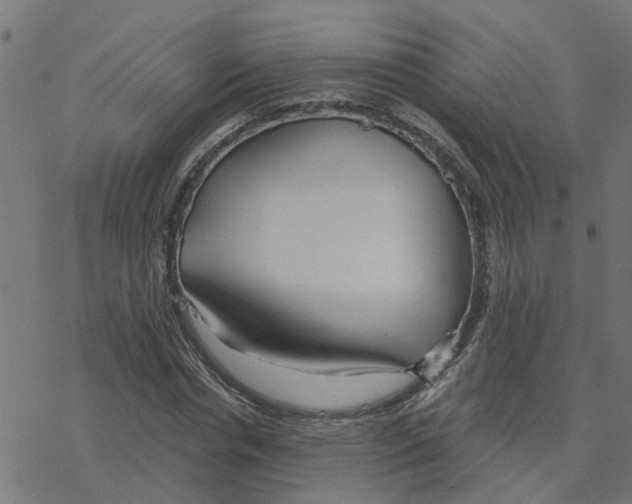 X0000078260826200612011652