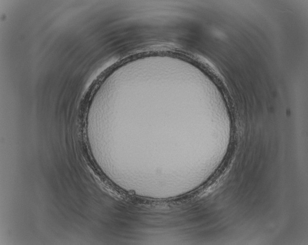 X0000078260827200612011652