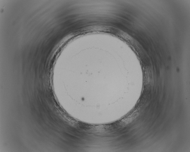 X0000078260828200612011652