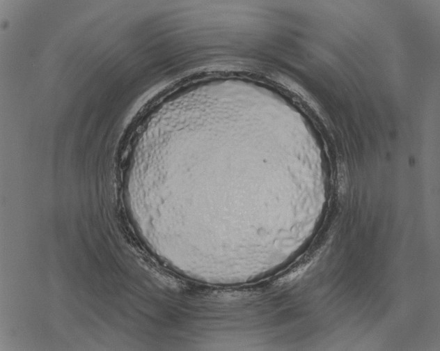 X0000078260829200612011652