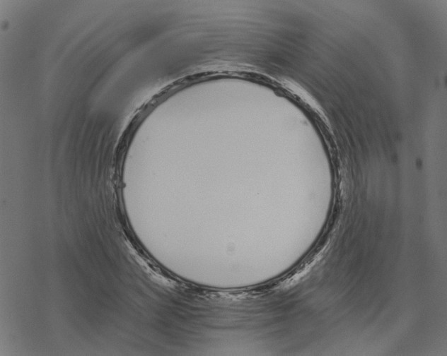 X0000078260831200612011652