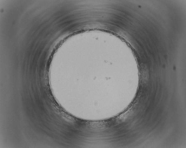 X0000078260832200612011652