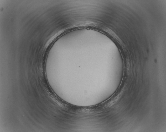 X0000078260834200612011652