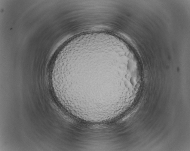 X0000078260835200612011652