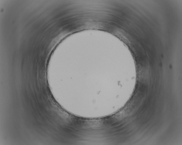 X0000078260836200612011652